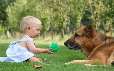 Animais de estimação diminuem casos de alergia e obesidade