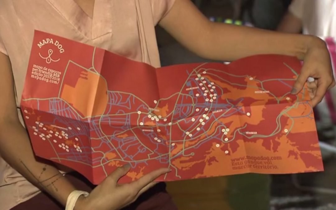 Mapa mostra locais onde cachorros são bem-vindos no DF