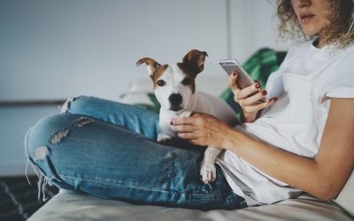 Cães podem ficar deprimidos quando donos usam celulares em excesso