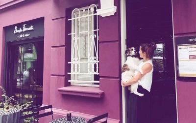 Café para humanos e cachorros oferece cerveja canina em Porto Alegre