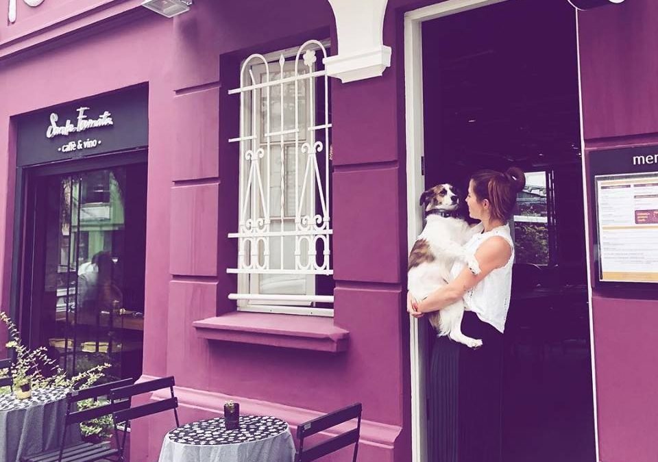 Café para humanos e cachorros oferece cerveja canina em Porto Alegre