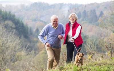 Como os cães podem manter você saudável