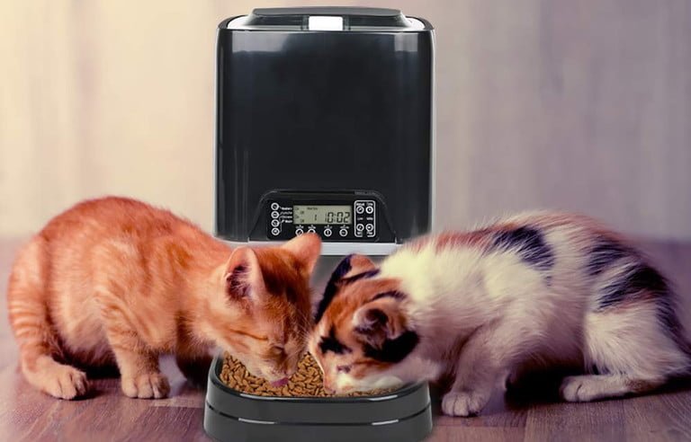 Novidades tecnológicas para pets