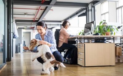 Como os cães podem ajudar a reduzir a ansiedade e o estresse no local de trabalho