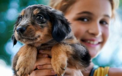 5 benefícios de adotar um cão quando você tem uma criança