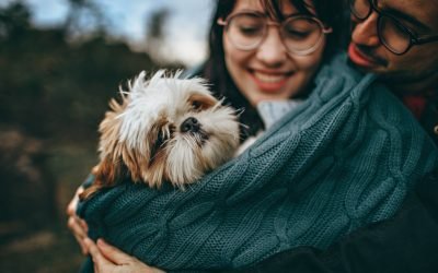 Qual é o cão mais popular do mundo em 2021?