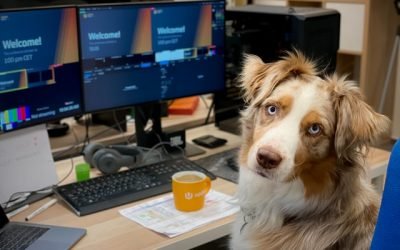 Habilidades corporativas que tutores de pets desenvolvem com mais facilidade