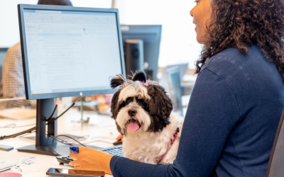 Funcionários da Nestlé podem levar pets para o trabalho todos os dias