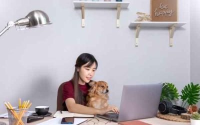 Os benefícios de levar o seu pet para o trabalho