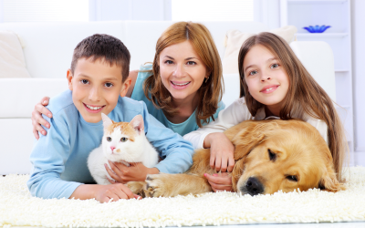 Amor pelos animais impulsiona indústria pet