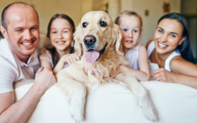 Você e seu cão provavelmente têm a mesma personalidade, mostram novas pesquisas